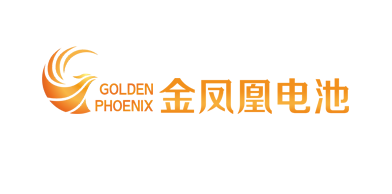 肇庆电池